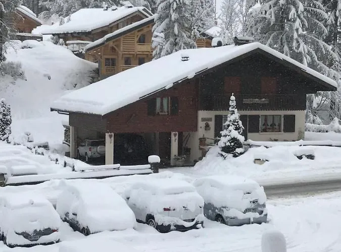 La Montagne « un Coin D'oxygene » * Châtel